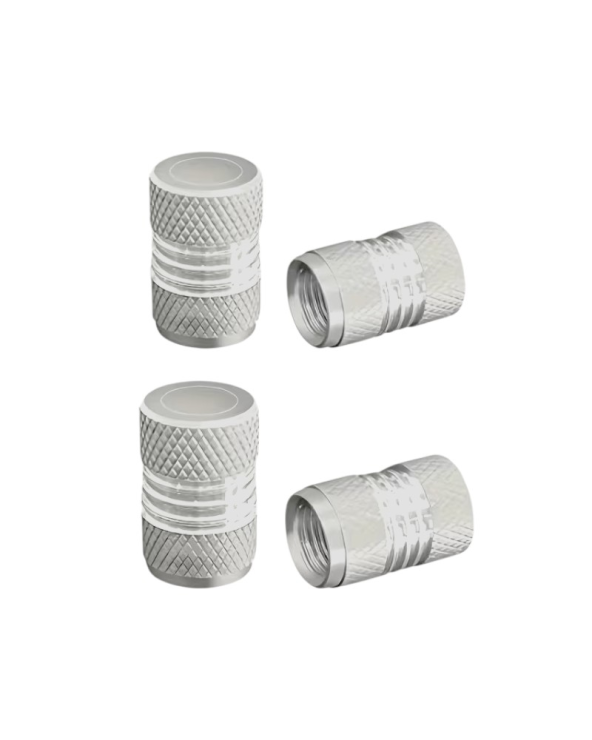 Καπάκι βαλβίδας ελαστικών αυτοκινήτου - R-Z17109-4U - 140526 - Silver