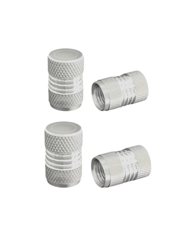 Καπάκι βαλβίδας ελαστικών αυτοκινήτου - R-Z17109-4U - 140526 - Silver