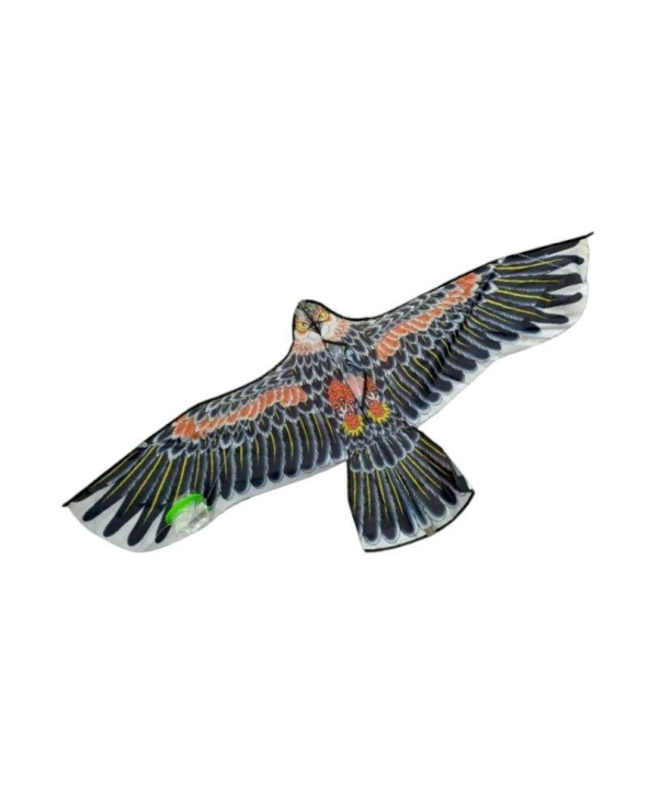 Χαρταετός με σχέδιο - 1.2m