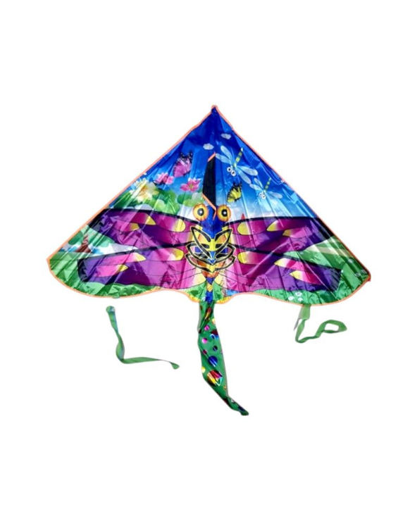 Χαρταετός με σχέδιο - 1.3m