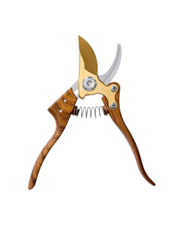 Ψαλίδι κλαδέματος