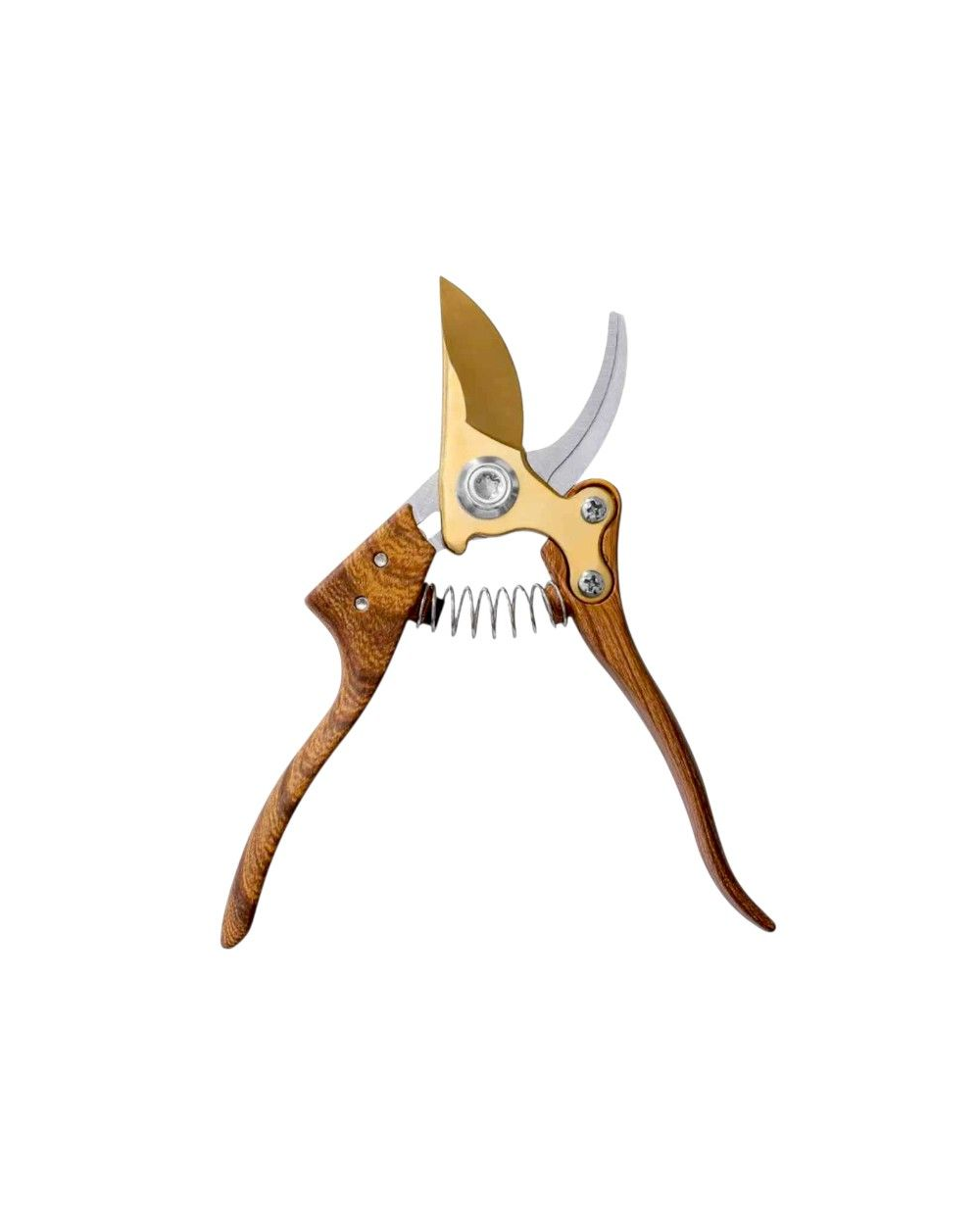 Ψαλίδι κλαδέματος