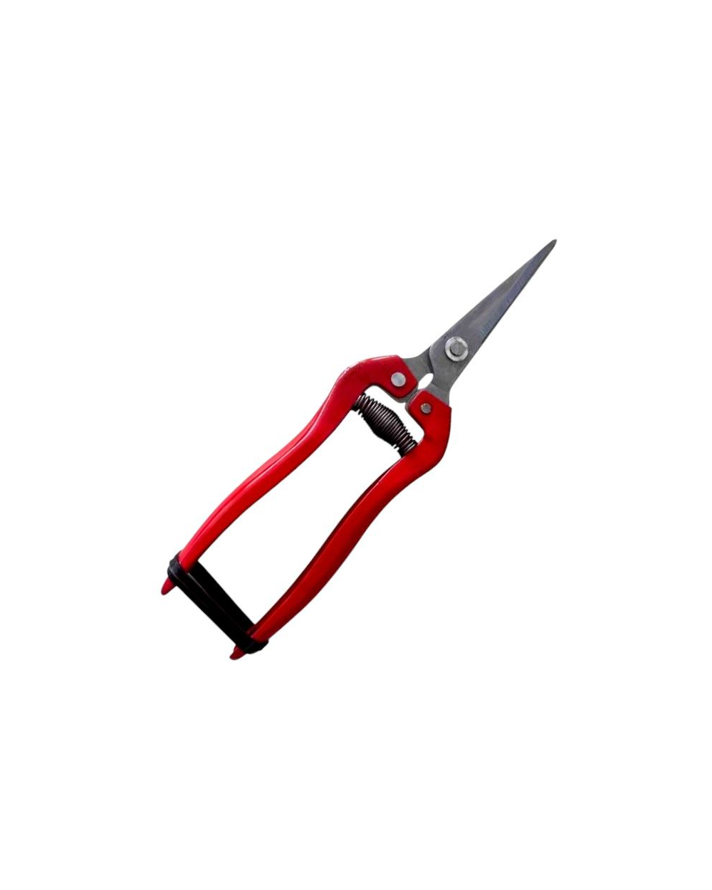 Ψαλίδι κλαδέματος