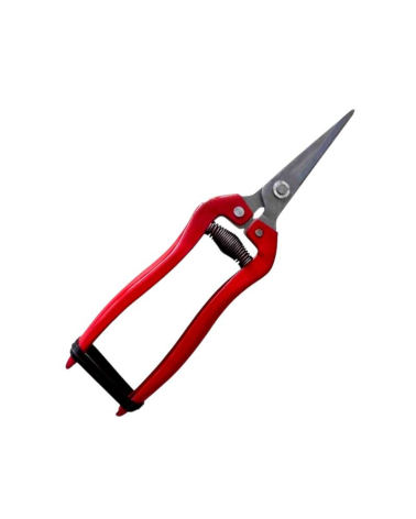 Ψαλίδι κλαδέματος