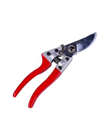 Ψαλίδι κλαδέματος