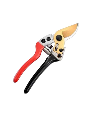 Ψαλίδι κλαδέματος