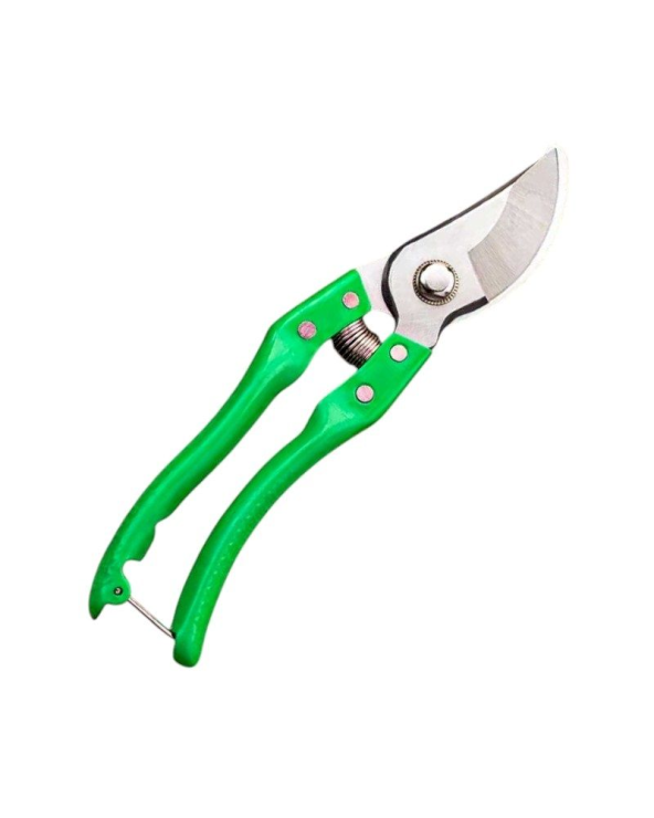 Ψαλίδι κλαδέματος