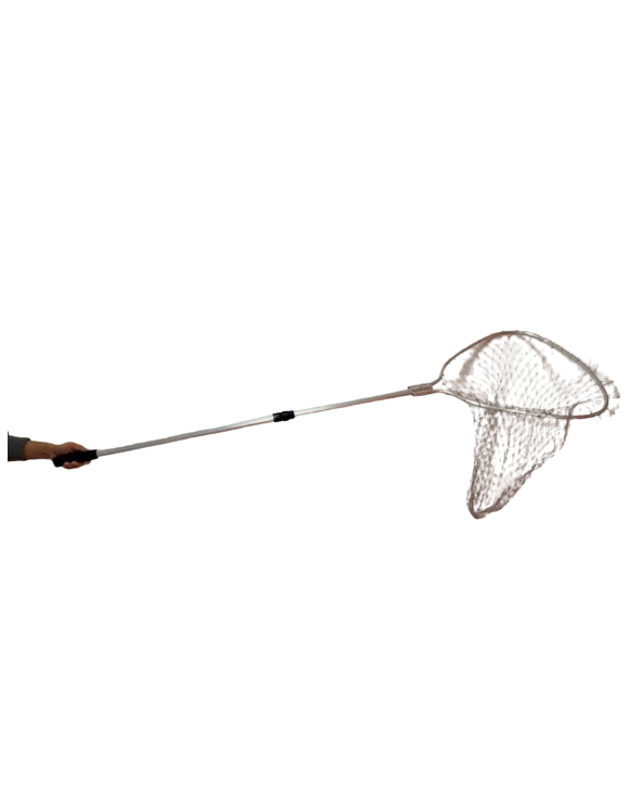 Απόχη ψαρέματος δίσπαστη