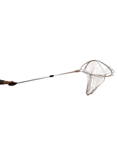 Απόχη ψαρέματος δίσπαστη