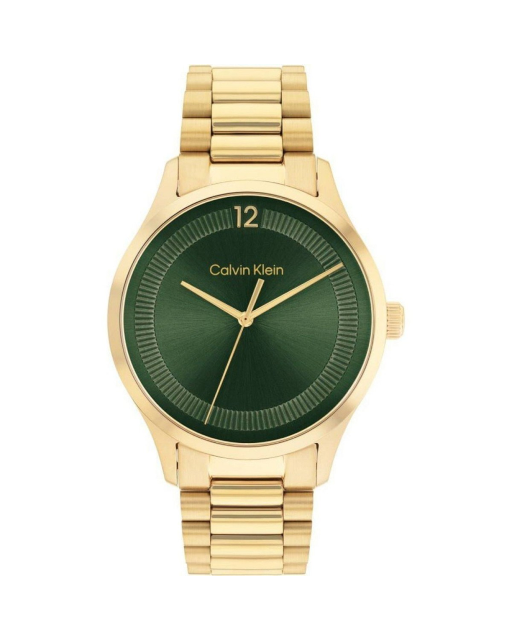 WATCH CALVIN KLEIN MAN 25200229 (40MM)