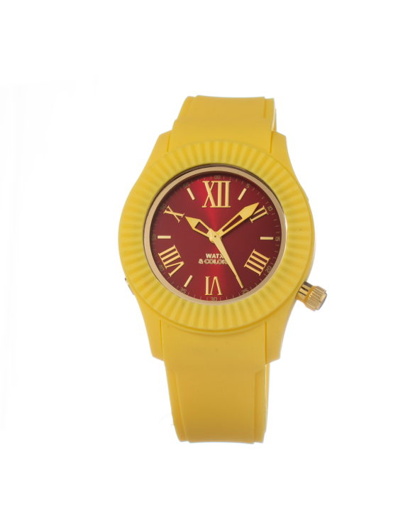WATCH WATXANDCO WOMAN COWA3010R4046 (43MM)