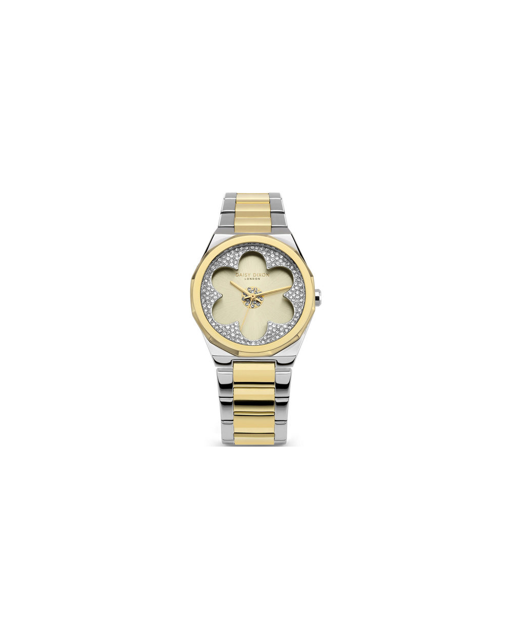 WATCH DAISY DIXON WOMEN DD168SGM (36MM)