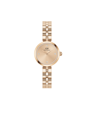 WATCH DANIEL WELLINGTON WOMEN DW00100720 (22MM)