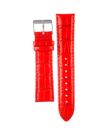 WATCH TOMMY HILFIGER UNISEX 679301240 (20MM)
