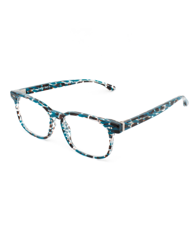 GLASSES HARRY LARYS WOMAN PATRIOTY-C34 (Lens/Bridge/Temple) 54/16/142 mm)