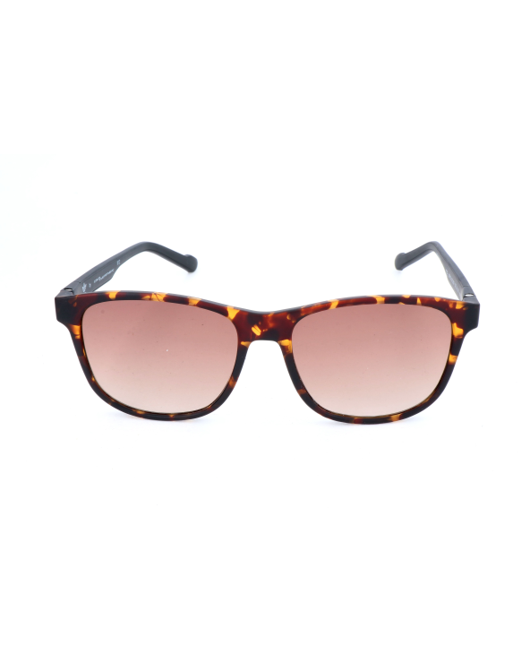 SUNGLASSES ADIDAS MAN AOR031-092009 (Lens/Bridge/Temple) 54/16/145 mm)