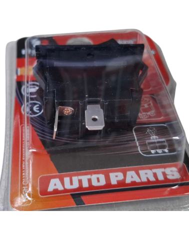 Διακόπτης οχημάτων On/Off - R-F13213-22-1U