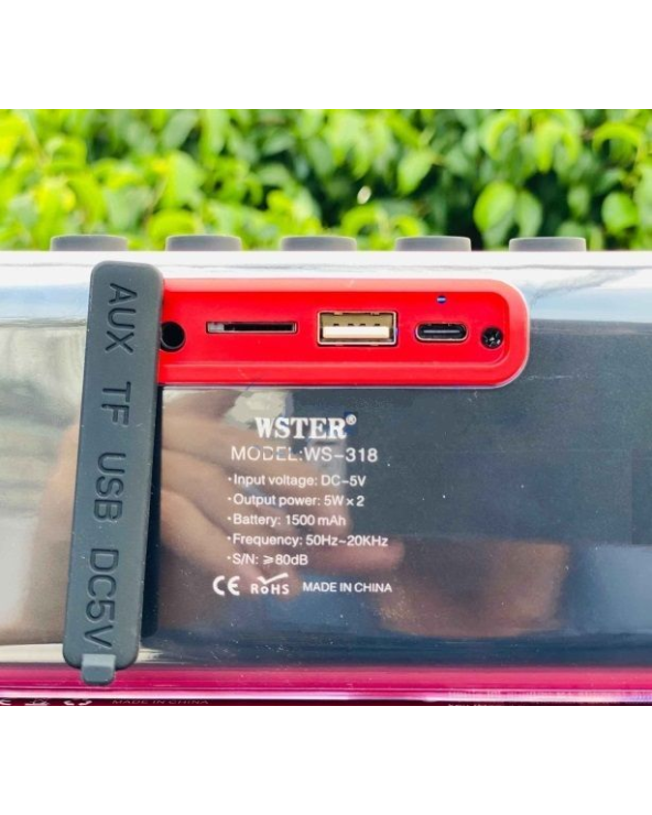 Ασύρματο ηχείο Bluetooth - WS-318