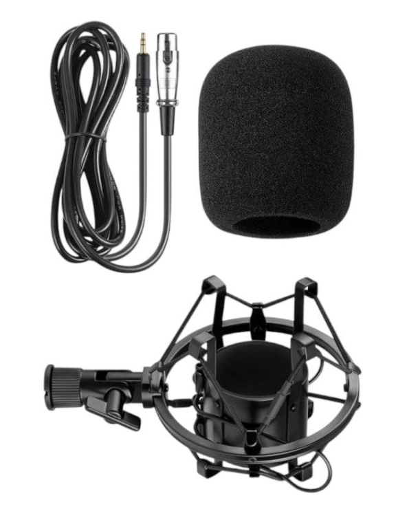 Πυκνωτικό μικρόφωνο - BM-700 - 881278 - Black