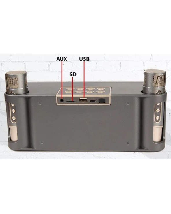 Ασύρματο ηχείο Bluetooth με 2 μικρόφωνα Karaoke - YS215 - 887271 - Grey