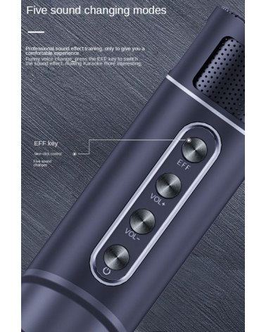 Ασύρματο ηχείο Bluetooth με 2 μικρόφωνα Karaoke - YS215 - 887271 - Grey