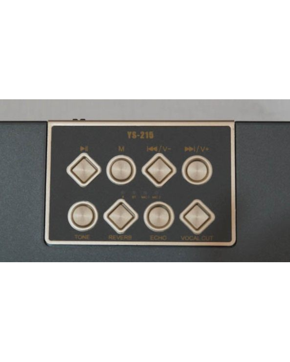 Ασύρματο ηχείο Bluetooth με 2 μικρόφωνα Karaoke - YS215 - 887271 - Grey