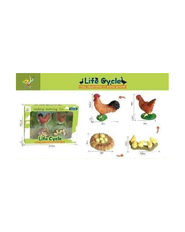 Εκπαιδευτικό σετ Κοτοπουλάκια - Life Cycle