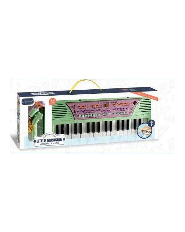 Παιδικό πιάνο με μικρόφωνο - 161266 - Green