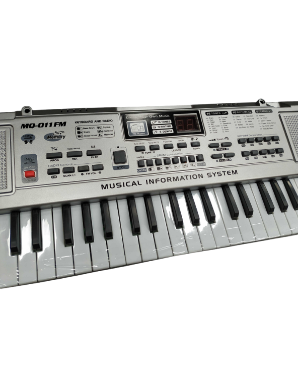 Παιδικό αρμόνιο - 61-11FM