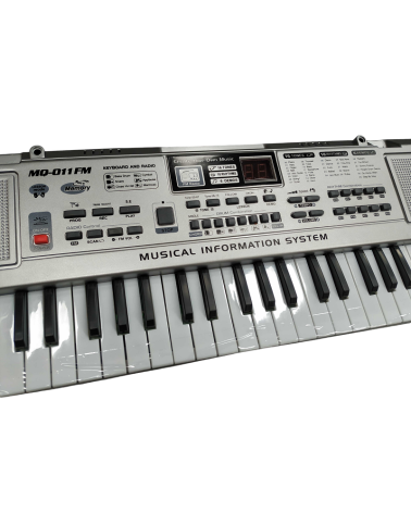 Παιδικό αρμόνιο - 61-11FM