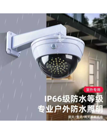 Ηλιακός προβολέας LED με αισθητήρα κίνησης - 2118B COB