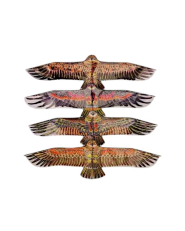 Χαρταετός με σχέδιο - 1.1m