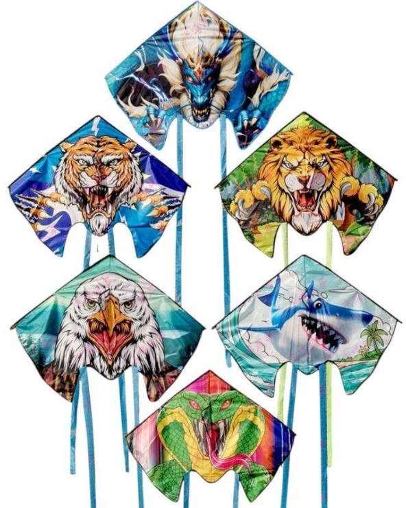 Χαρταετός με σχέδιο - 1.23m