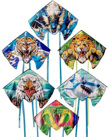 Χαρταετός με σχέδιο - 1.23m