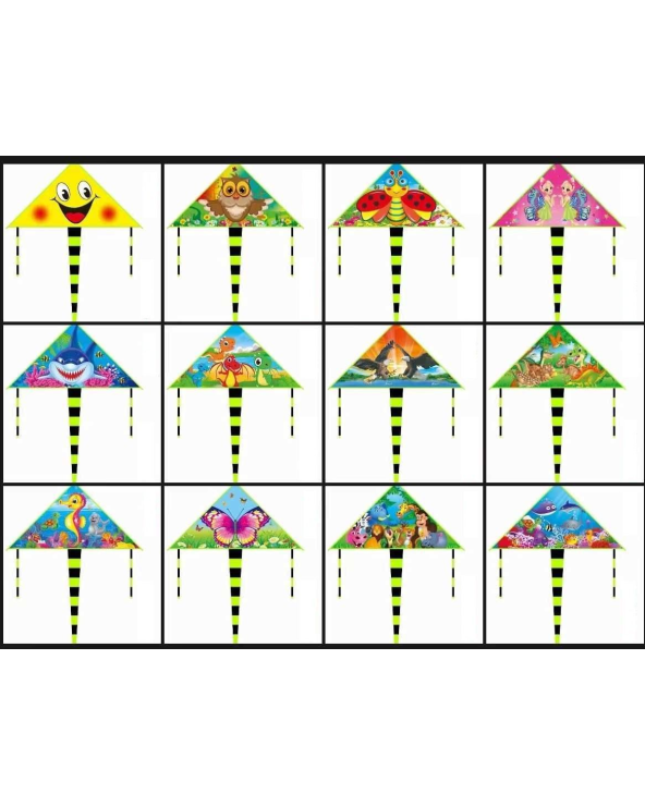 Χαρταετός με σχέδιο - 1.15m