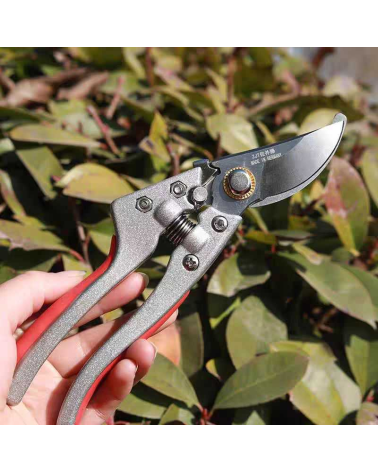 Ψαλίδι κλαδέματος