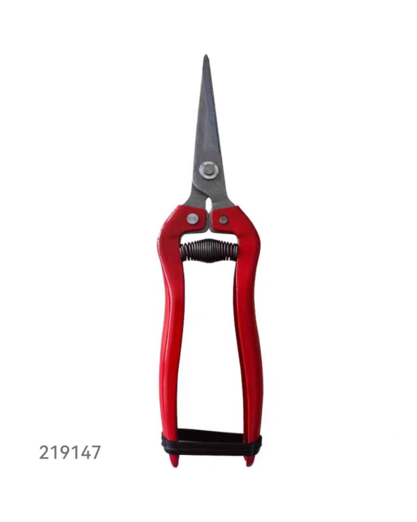 Ψαλίδι κλαδέματος