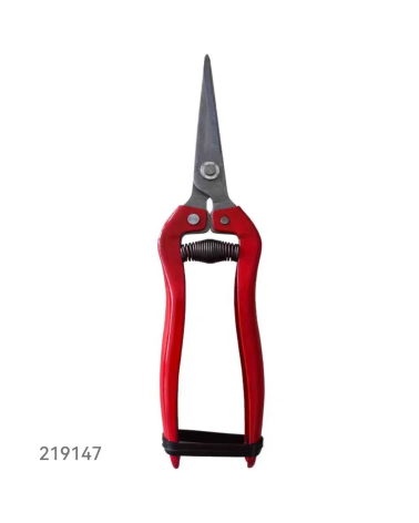 Ψαλίδι κλαδέματος