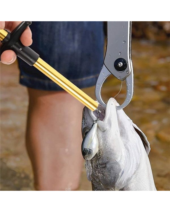 Απαγκιστρωτής