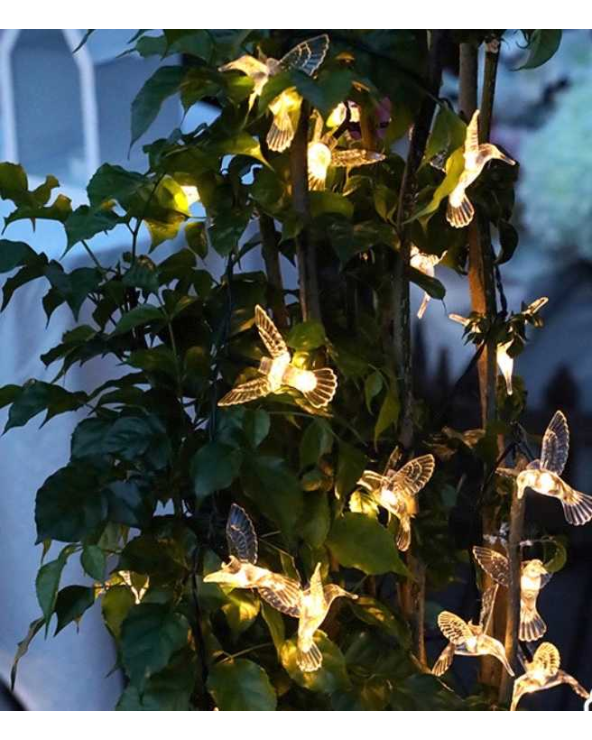 Ηλιακή γιρλάντα φωτισμού LED - String Bird - 5m+1m - 20D - 152875 - Warm White