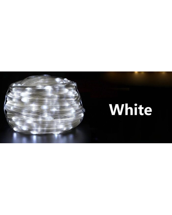 Χριστουγεννιάτικα φώτα LED με επένδυση - 10m/100LED - Cool White