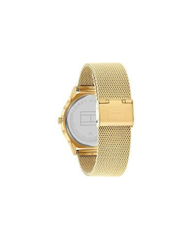 WATCH TOMMY HILFIGER MAN 1710469 (40MM)