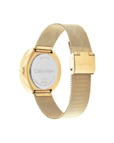 WATCH CALVIN KLEIN WOMEN 25200339 (38,5CM)