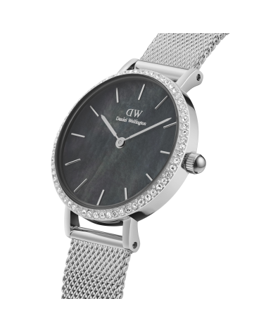 WATCH DANIEL WELLINGTON WOMEN DW00100661 (28MM)