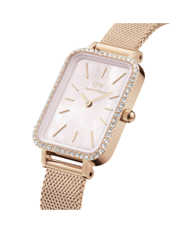 WATCH DANIEL WELLINGTON WOMEN DW00100669 (20MM)