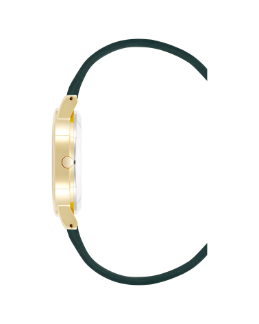 WATCH JUICY COUTURE WOMEN JC1344GPGN (36 MM)