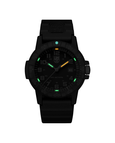 WATCH LUMINOX MAN XS.0329 (44MM)