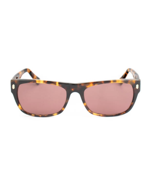 SUNGLASSES BELSTAFF WOMEN HUDSON-S184 (Lens/Bridge/Temple) 54/17/145 mm)