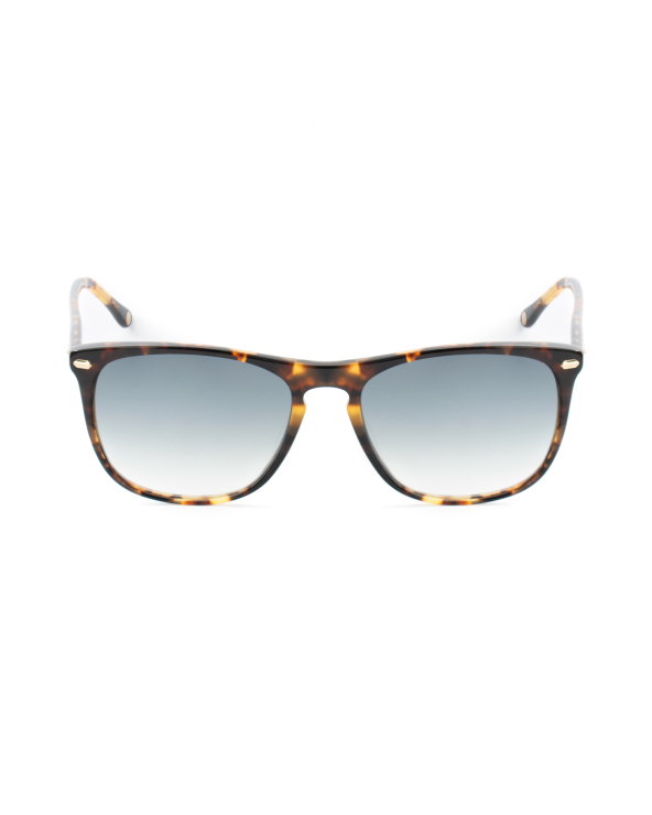 SUNGLASSES BELSTAFF WOMEN MERIDINIIS17 (Lens/Bridge/Temple) 55/17/150 mm)