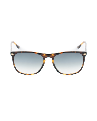 SUNGLASSES BELSTAFF WOMEN MERIDINIIS17 (Lens/Bridge/Temple) 55/17/150 mm)